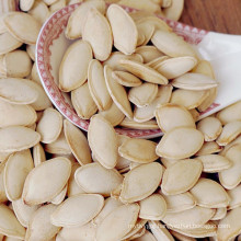 Top grade pumpkin seeds market price